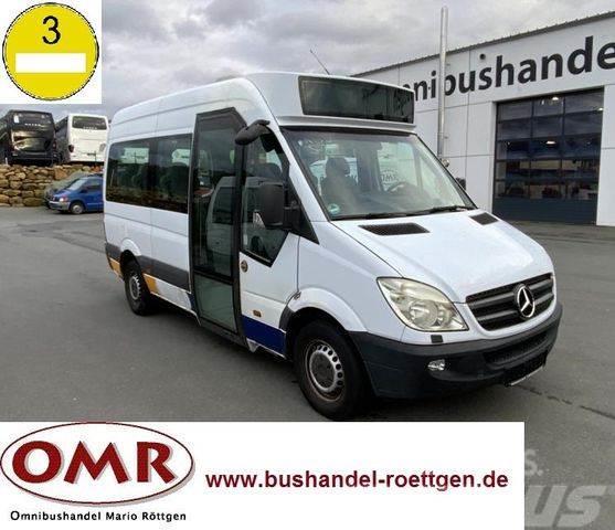Mercedes-Benz Sprinter Mobility 311 CDI / 315 / 316 / 516 Mini buses