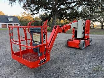 JLG E 300 AJP