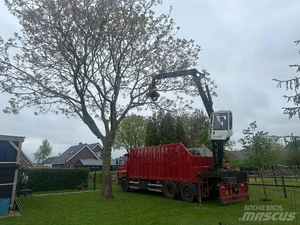 DAF cf As75pc Timber trucks