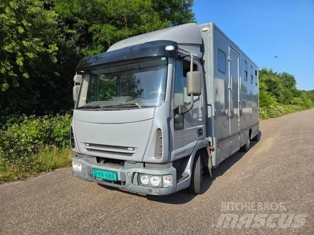 Iveco E 75 Livestock carrying trucks