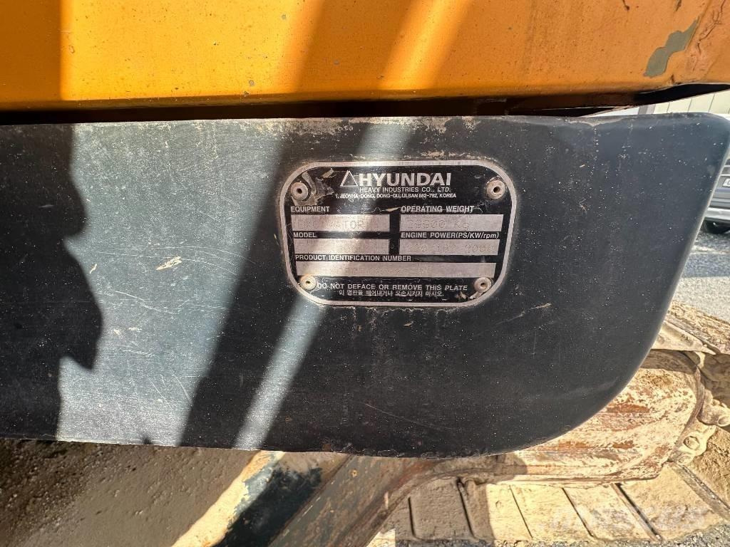 Hyundai Robex 300 LC Crawler excavators
