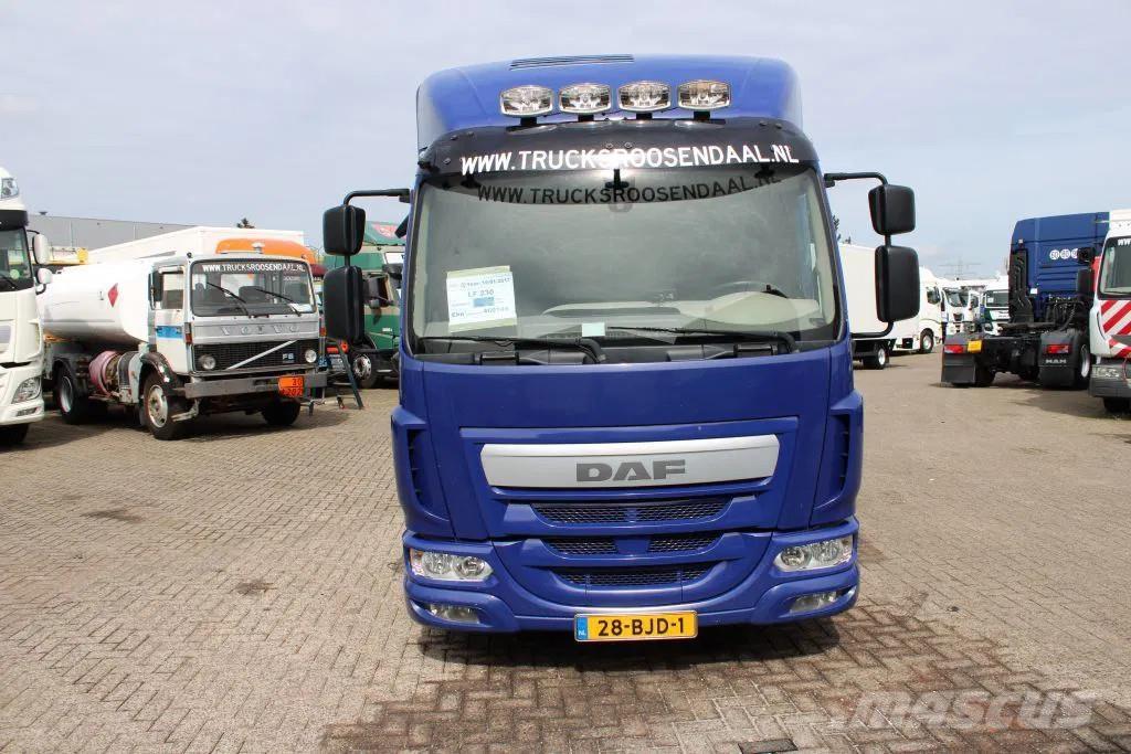 DAF LF 230 + EURO 6 Livestock carrying trucks