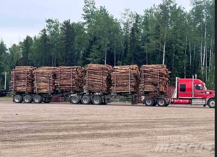 Doepker B-KING Timber trailers