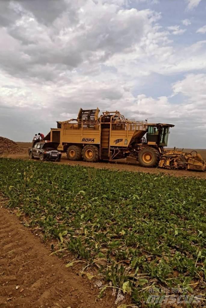 Ropa Tiger 3 Beet harvesters