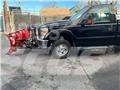 Ford F 350 Flatbed/Dropside trucks