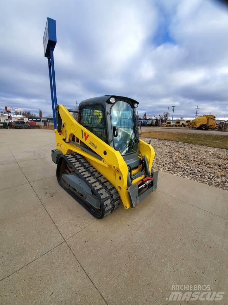 Wacker Neuson ST31 Crawler FEL's