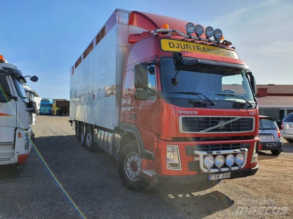 Volvo FM12 Livestock carrying trucks