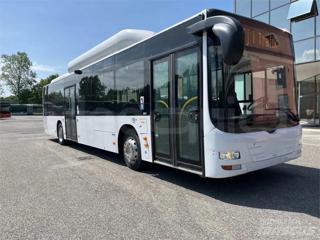 MAN A21 Buses and Coaches