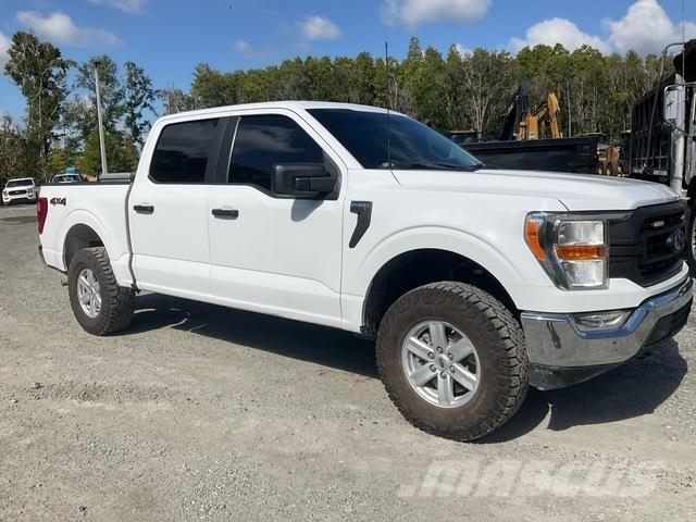 Ford F-150 Ldv/dropside