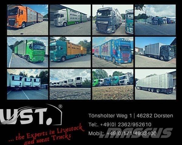 Kässbohrer  Tautliner/curtainside trailers