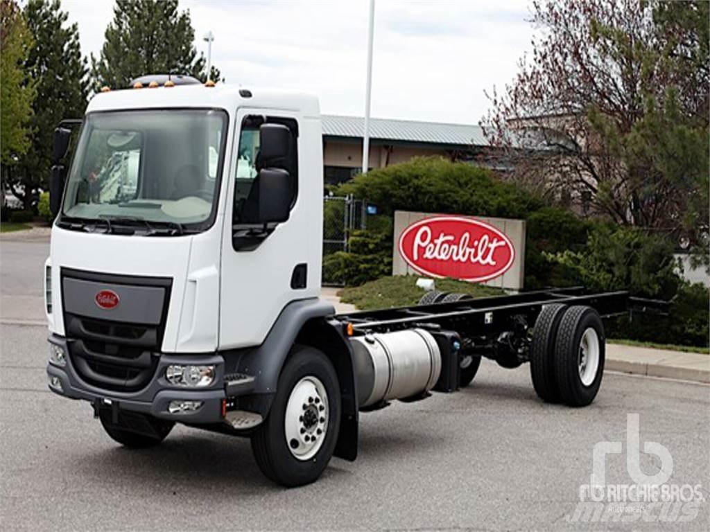 Peterbilt 220 Chassis Cab trucks
