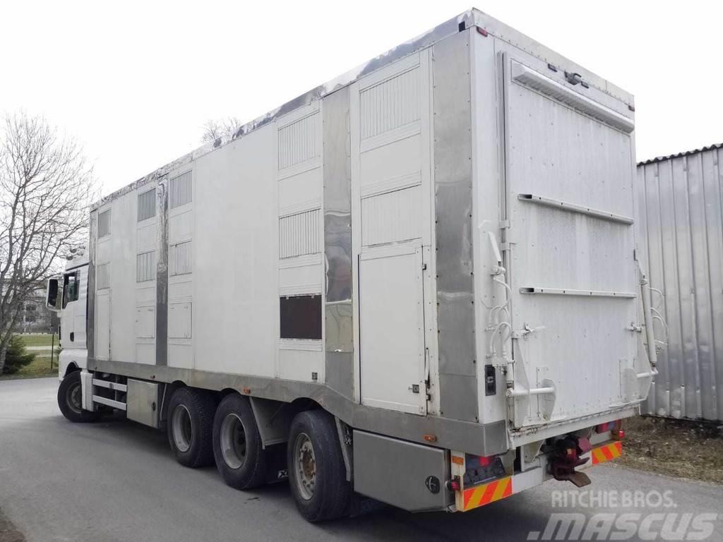 MAN TGX 35.540 8X4 TRIDEM ANIMAL Livestock carrying trucks
