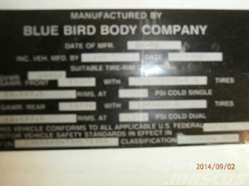 International Bluebird Other