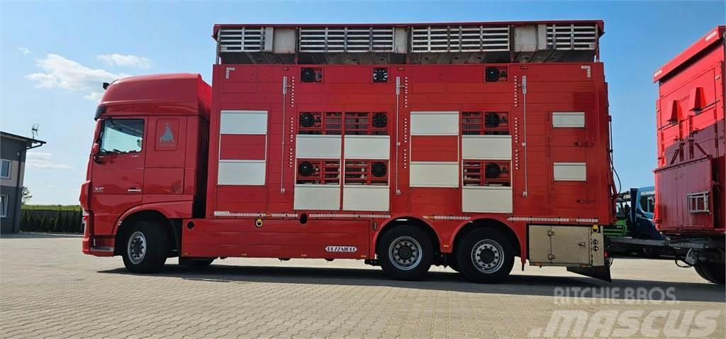 DAF XF 105.510 Livestock carrying trucks