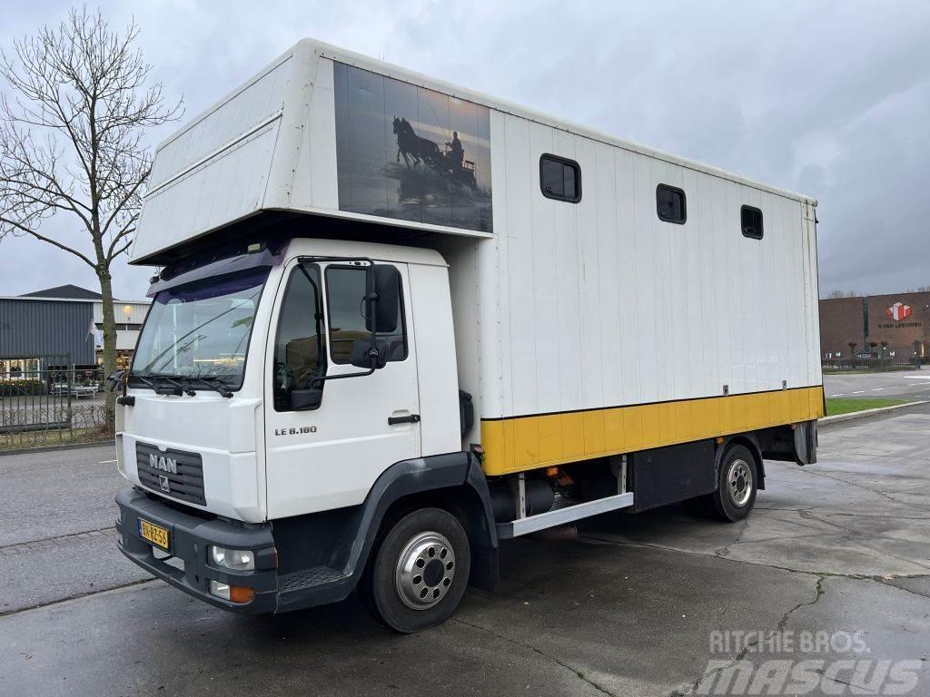 MAN LE 8-180 HORSE TRUCK - 4 PAARDS Livestock carrying trucks