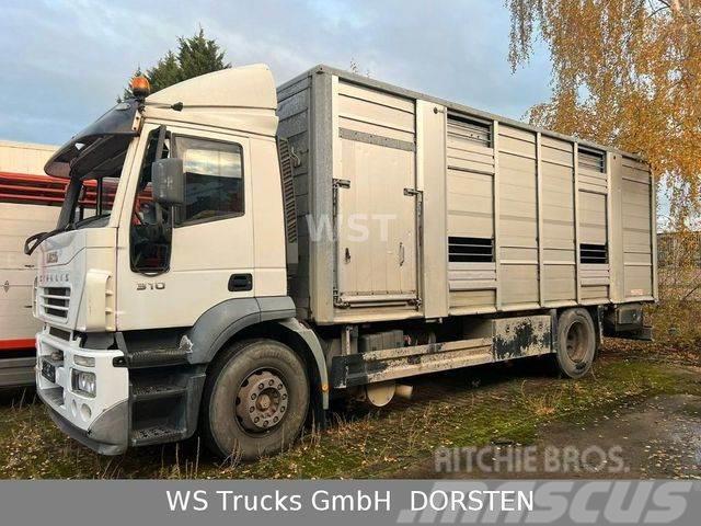 Iveco Stralis 310 Zweistock Fahrerhaus beschädigt Livestock carrying trucks