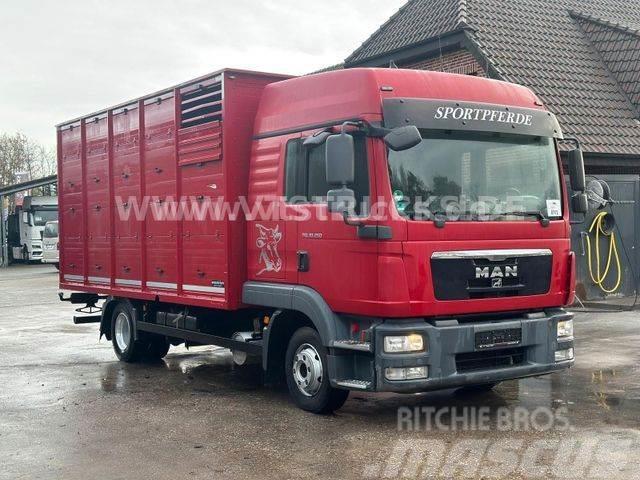 MAN TGL 10.250 4x2 Euro5 1.Stock Westrick Livestock carrying trucks