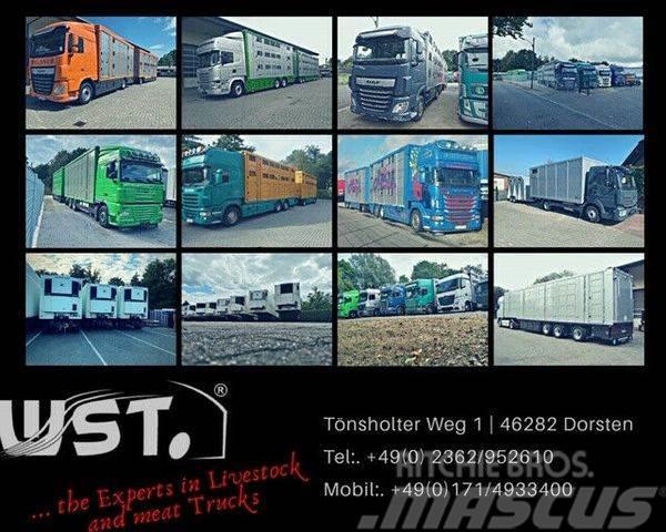  Menke-Janzen Menke Tandem 3,5 to Vollalu &quot; Ne Livestock carrying trailers